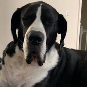 Meet your Posher, Jenny